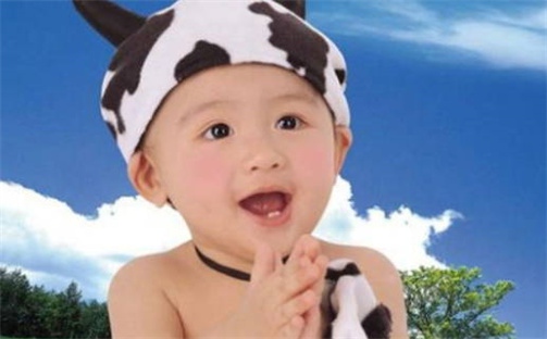 给史姓女宝取个文雅内涵的名字，精选449个